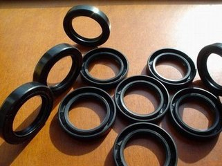 U型內骨架油封